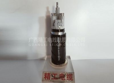 廣西精工電纜集團(tuán)有限公司