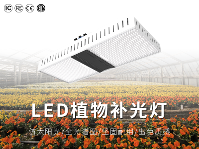 深圳市振揚(yáng)世紀(jì)科技有限公司