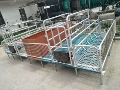 天蓬養(yǎng)豬設備廠