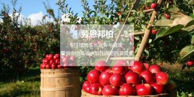 勞恩邦柏（上海）農(nóng)業(yè)科技有限公司
