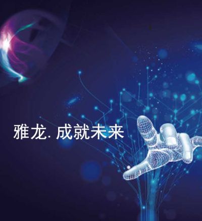 安徽雅龍流水線設(shè)備有限公司