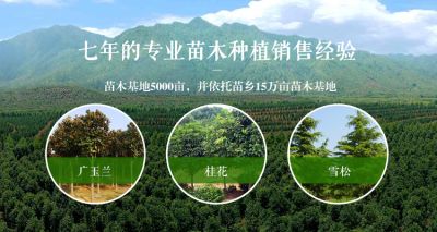 潢川縣豫海花木種植專(zhuān)業(yè)合作社